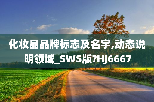 化妆品品牌标志及名字,动态说明领域_SWS版?HJ6667