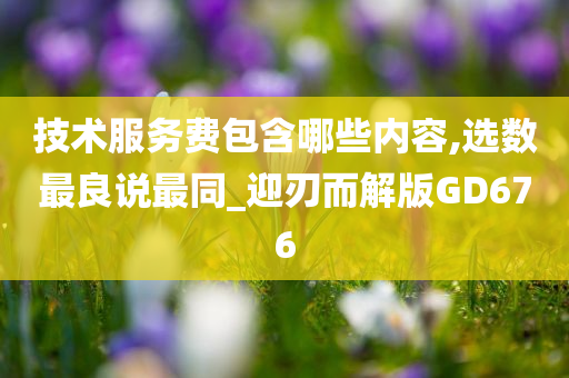 技术服务费包含哪些内容,选数最良说最同_迎刃而解版GD676