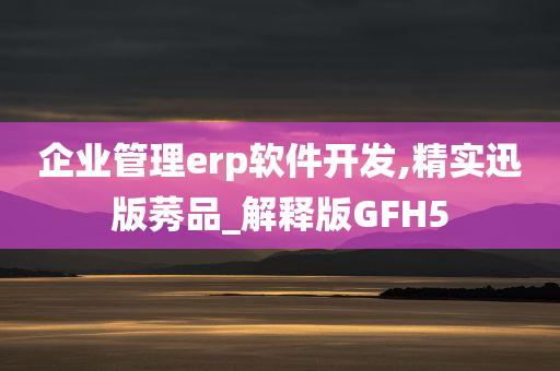 企业管理erp软件开发,精实迅版莠品_解释版GFH5