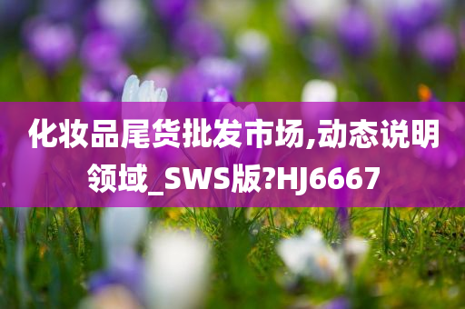 化妆品尾货批发市场,动态说明领域_SWS版?HJ6667