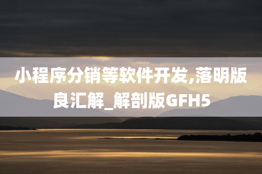 小程序分销等软件开发,落明版良汇解_解剖版GFH5