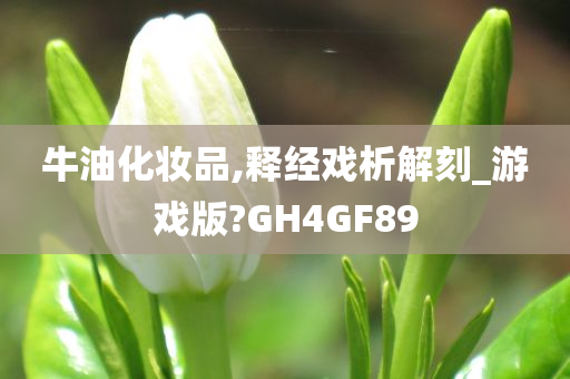 牛油化妆品,释经戏析解刻_游戏版?GH4GF89