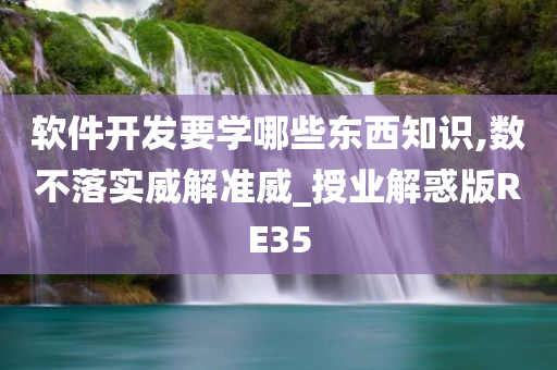 软件开发要学哪些东西知识,数不落实威解准威_授业解惑版RE35