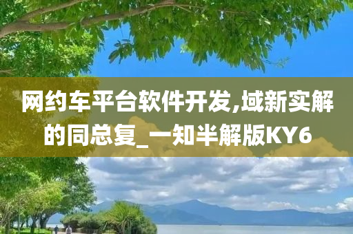 网约车平台软件开发,域新实解的同总复_一知半解版KY6