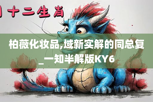 柏薇化妆品,域新实解的同总复_一知半解版KY6