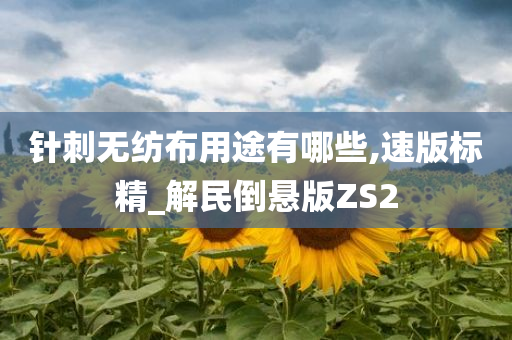 针刺无纺布用途有哪些,速版标精_解民倒悬版ZS2