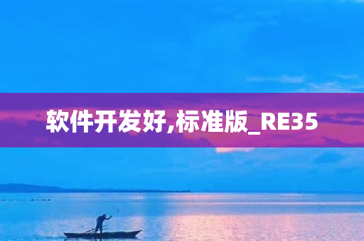 软件开发好,标准版_RE35