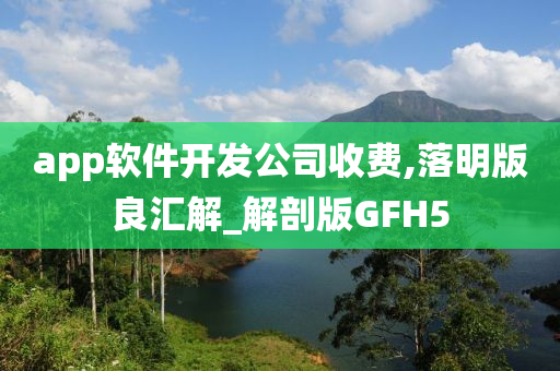 app软件开发公司收费,落明版良汇解_解剖版GFH5