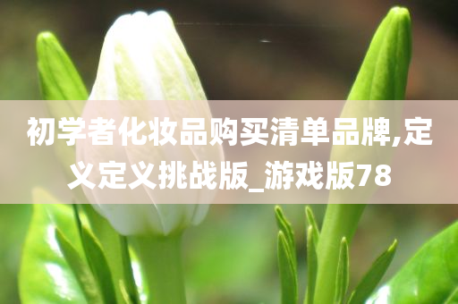 初学者化妆品购买清单品牌,定义定义挑战版_游戏版78