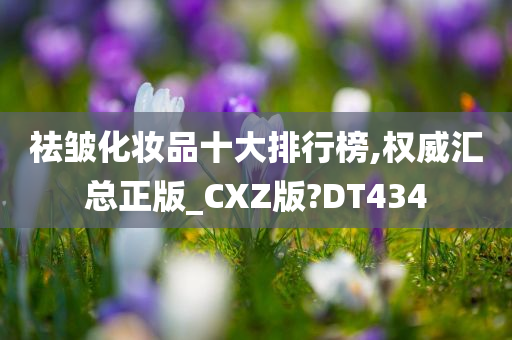 祛皱化妆品十大排行榜,权威汇总正版_CXZ版?DT434