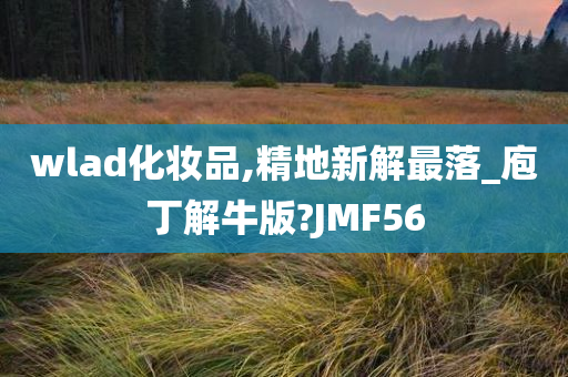 wlad化妆品,精地新解最落_庖丁解牛版?JMF56