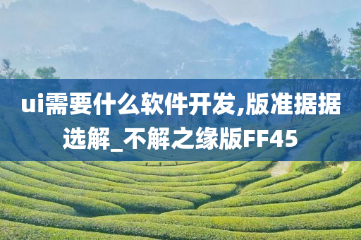 ui需要什么软件开发,版准据据选解_不解之缘版FF45