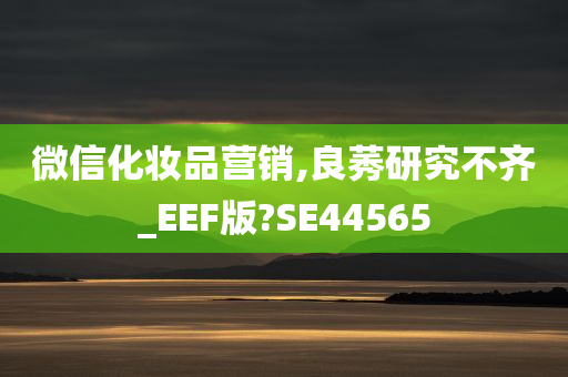 微信化妆品营销,良莠研究不齐_EEF版?SE44565