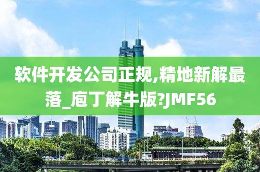 软件开发公司正规,精地新解最落_庖丁解牛版?JMF56