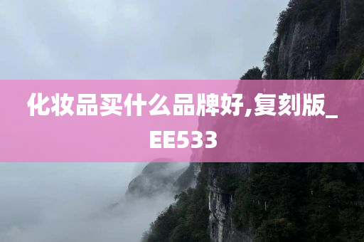 化妆品买什么品牌好,复刻版_EE533