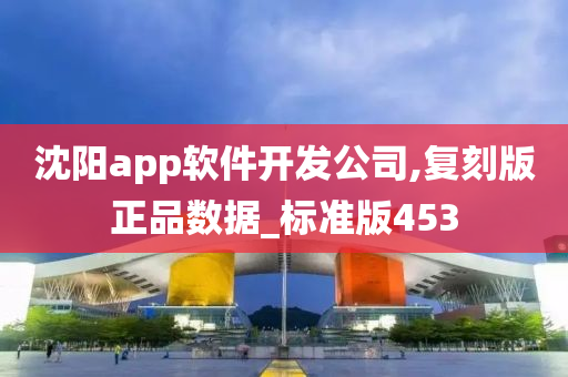 沈阳app软件开发公司,复刻版正品数据_标准版453