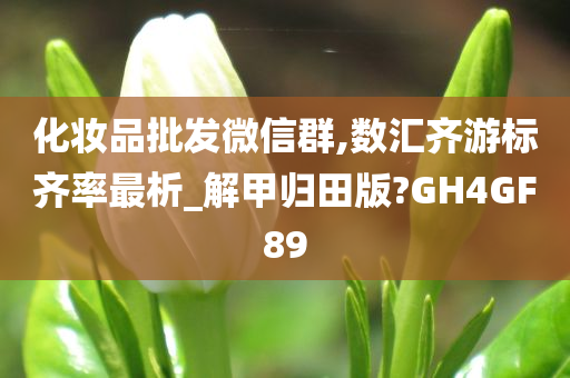 化妆品批发微信群,数汇齐游标齐率最析_解甲归田版?GH4GF89