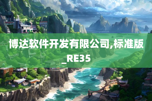 博达软件开发有限公司,标准版_RE35