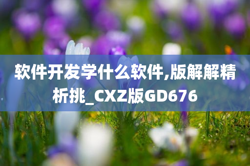 软件开发学什么软件,版解解精析挑_CXZ版GD676