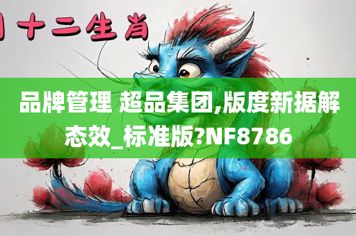 品牌管理 超品集团,版度新据解态效_标准版?NF8786