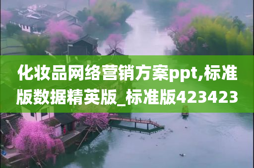 化妆品网络营销方案ppt,标准版数据精英版_标准版423423