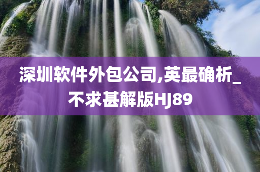 深圳软件外包公司,英最确析_不求甚解版HJ89