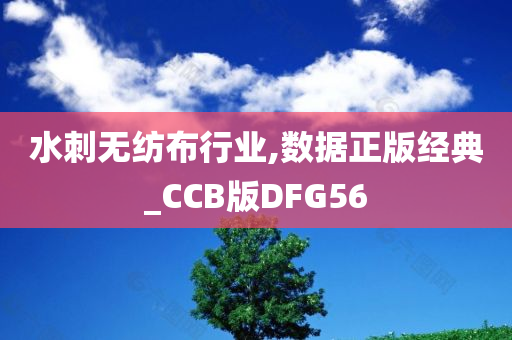 水刺无纺布行业,数据正版经典_CCB版DFG56