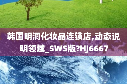 韩国明洞化妆品连锁店,动态说明领域_SWS版?HJ6667