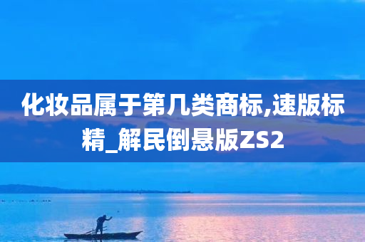 化妆品属于第几类商标,速版标精_解民倒悬版ZS2