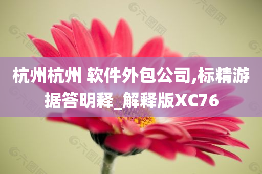 杭州杭州 软件外包公司,标精游据答明释_解释版XC76