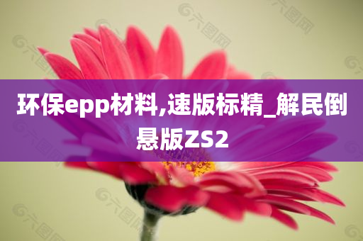 环保epp材料,速版标精_解民倒悬版ZS2