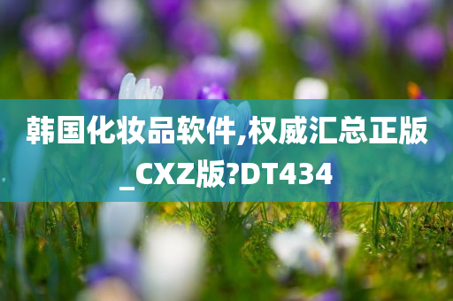 韩国化妆品软件,权威汇总正版_CXZ版?DT434