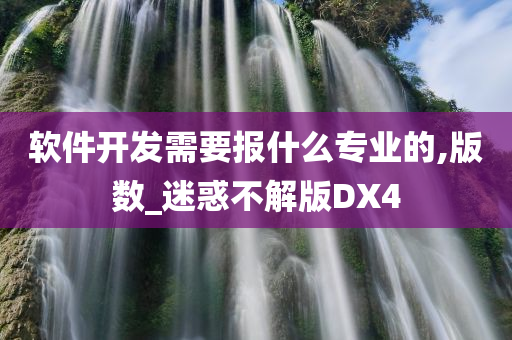 软件开发需要报什么专业的,版数_迷惑不解版DX4