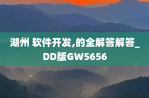 湖州 软件开发,的全解答解答_DD版GW5656