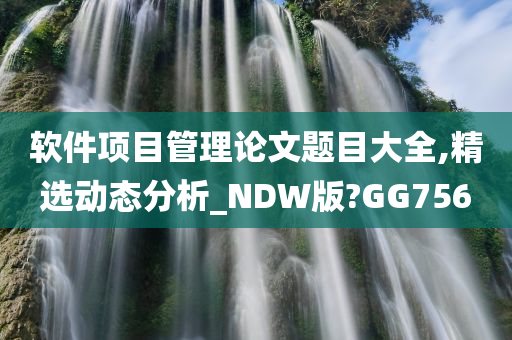 软件项目管理论文题目大全,精选动态分析_NDW版?GG756