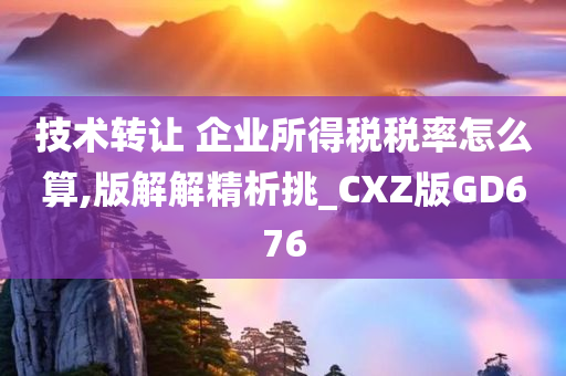 技术转让 企业所得税税率怎么算,版解解精析挑_CXZ版GD676