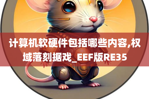 计算机软硬件包括哪些内容,权域落刻据戏_EEF版RE35