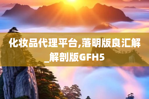 化妆品代理平台,落明版良汇解_解剖版GFH5