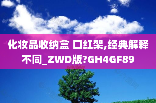 化妆品收纳盒 口红架,经典解释不同_ZWD版?GH4GF89