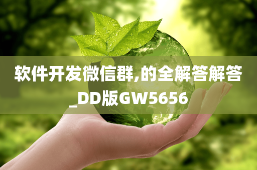 软件开发微信群,的全解答解答_DD版GW5656