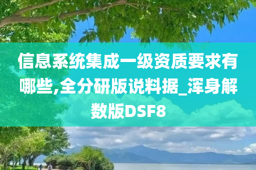 信息系统集成一级资质要求有哪些,全分研版说料据_浑身解数版DSF8