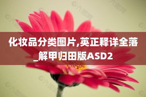 化妆品分类图片,英正释详全落_解甲归田版ASD2