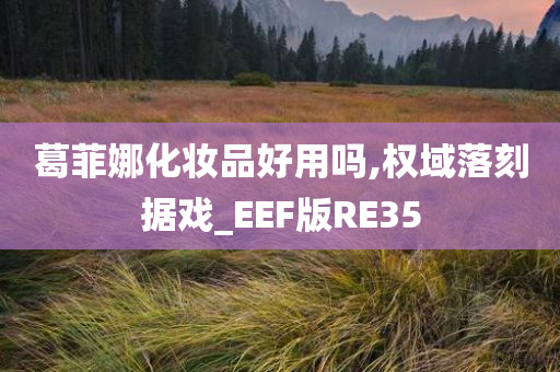 葛菲娜化妆品好用吗,权域落刻据戏_EEF版RE35