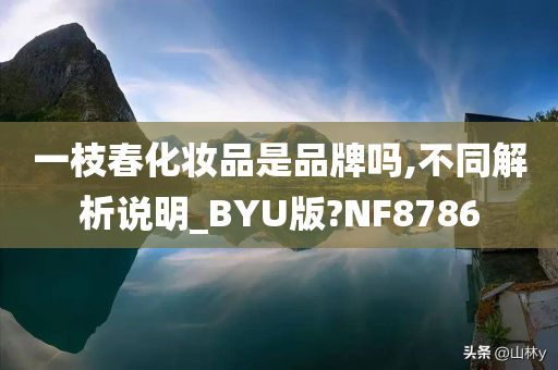 一枝春化妆品是品牌吗,不同解析说明_BYU版?NF8786