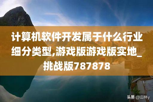 计算机软件开发属于什么行业细分类型,游戏版游戏版实地_挑战版787878