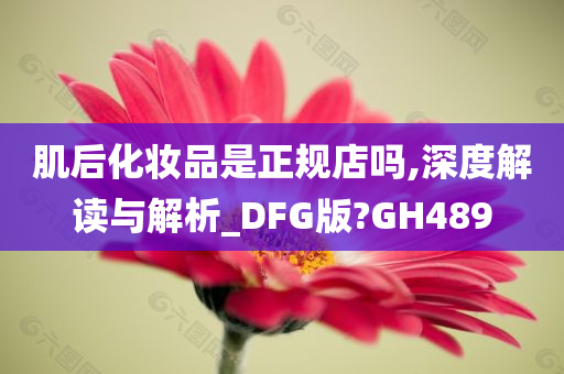 肌后化妆品是正规店吗,深度解读与解析_DFG版?GH489