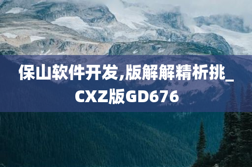 保山软件开发,版解解精析挑_CXZ版GD676