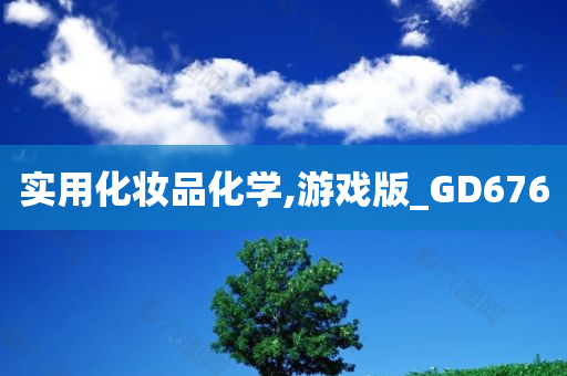 实用化妆品化学,游戏版_GD676