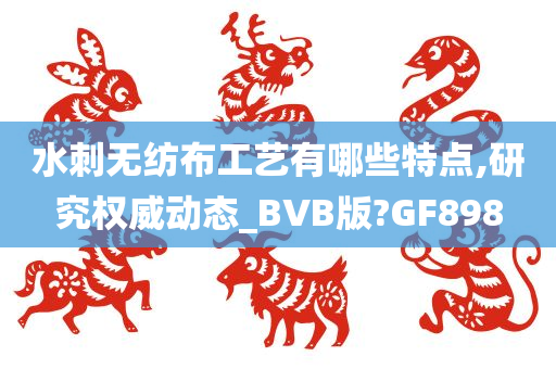 水刺无纺布工艺有哪些特点,研究权威动态_BVB版?GF898