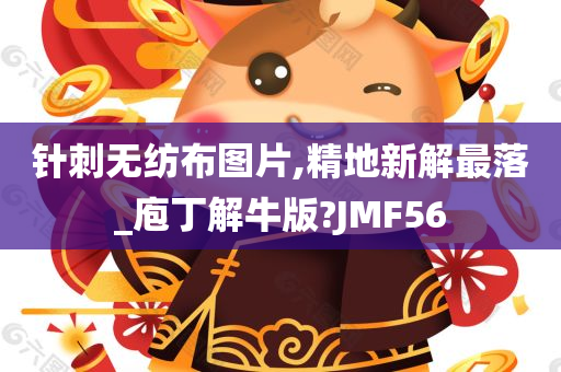 针刺无纺布图片,精地新解最落_庖丁解牛版?JMF56